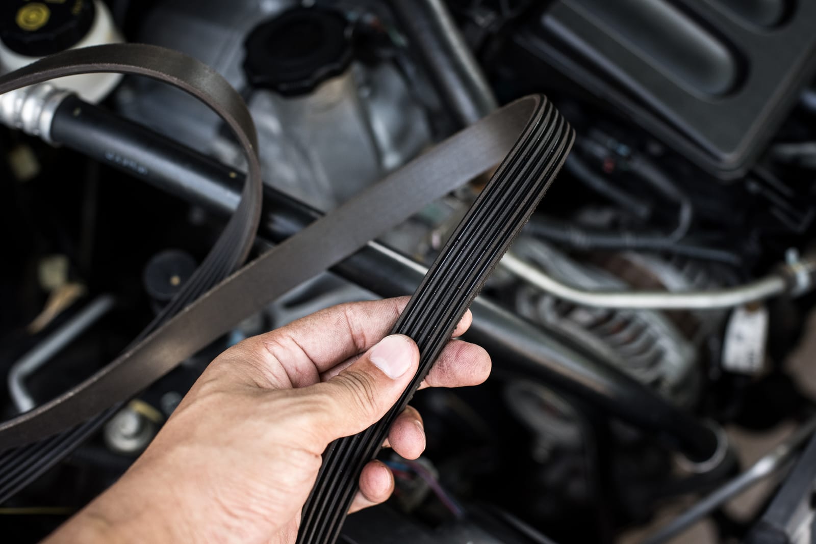 Auto Serpentine Belt Auto Serpentine Belt