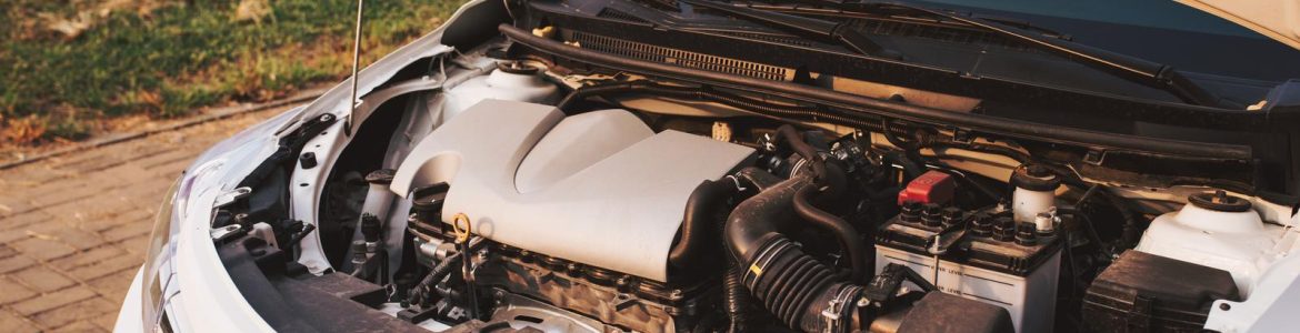 Open Hood of the Car the Engine